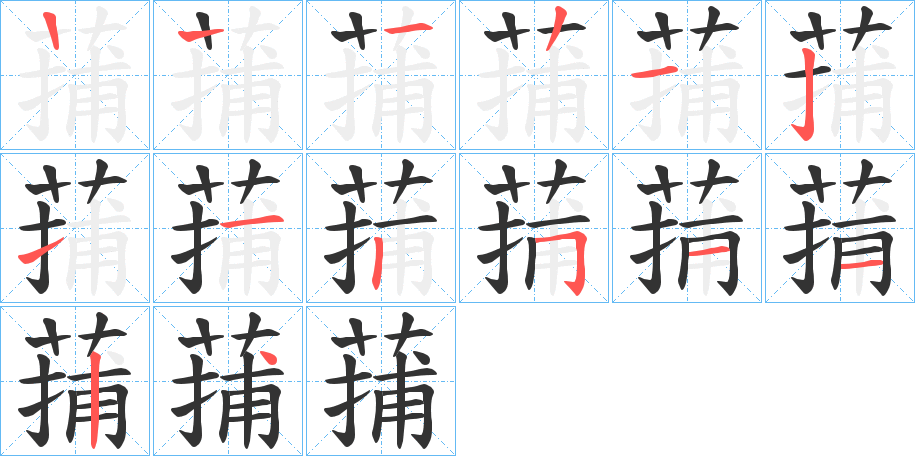 蒱字笔顺分步演示