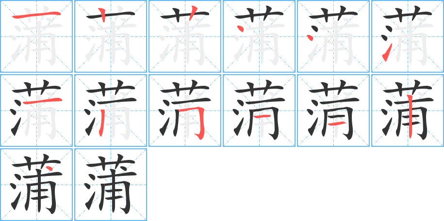 蒲字笔顺分步演示