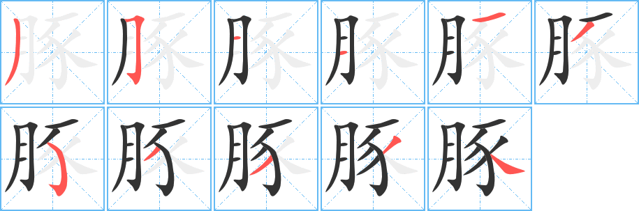 豚字笔顺分步演示