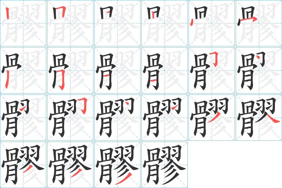 髎字笔顺分步演示