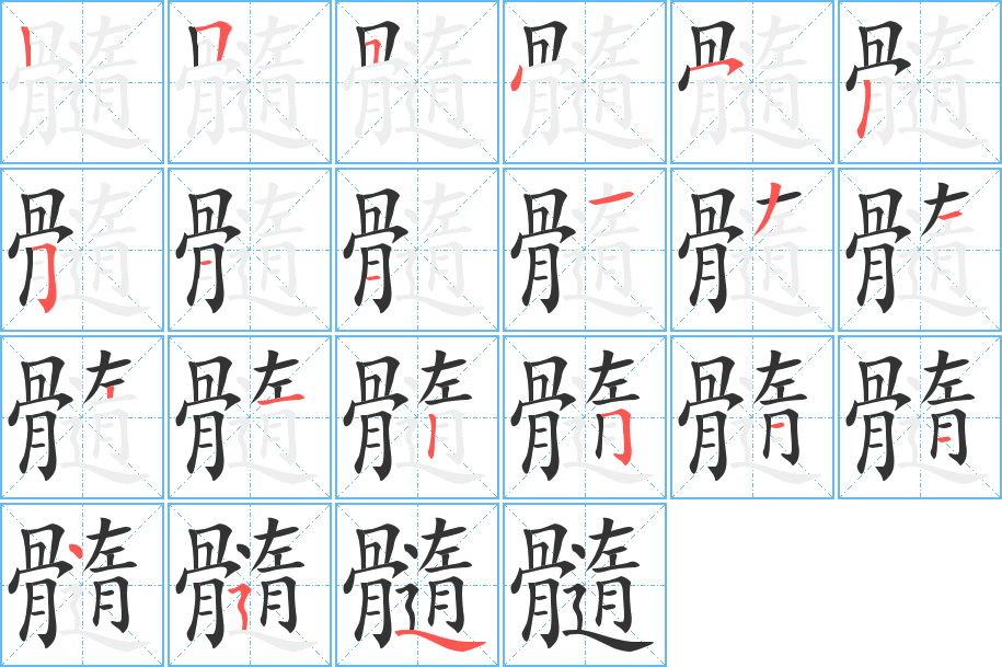 髓字笔顺分步演示