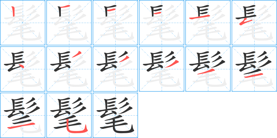 髦字笔顺分步演示