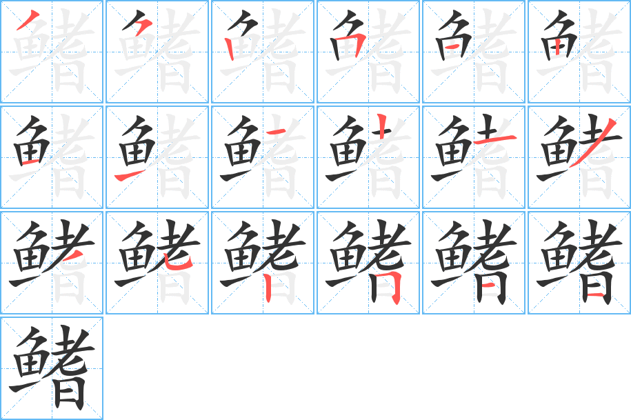 鳍字笔顺分步演示