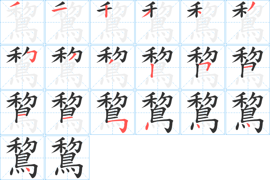 鵹字笔顺分步演示