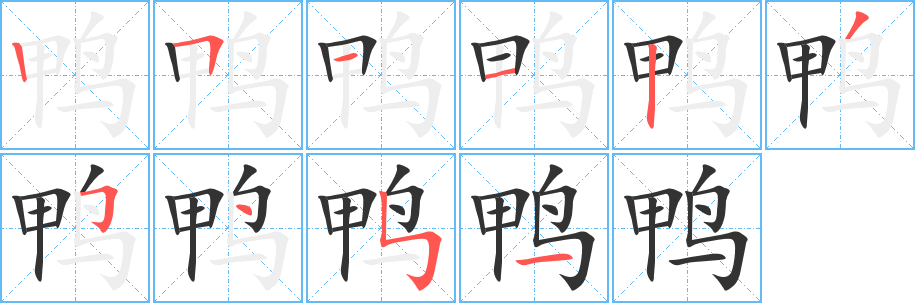 鸭字笔顺分步演示