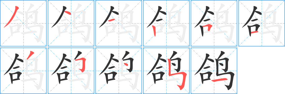 鸽字笔顺分步演示