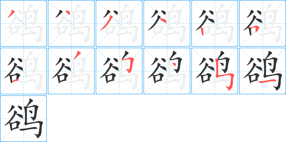 鹆字笔顺分步演示