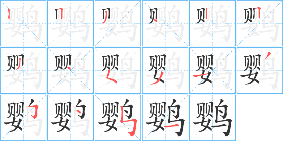 鹦字笔顺分步演示