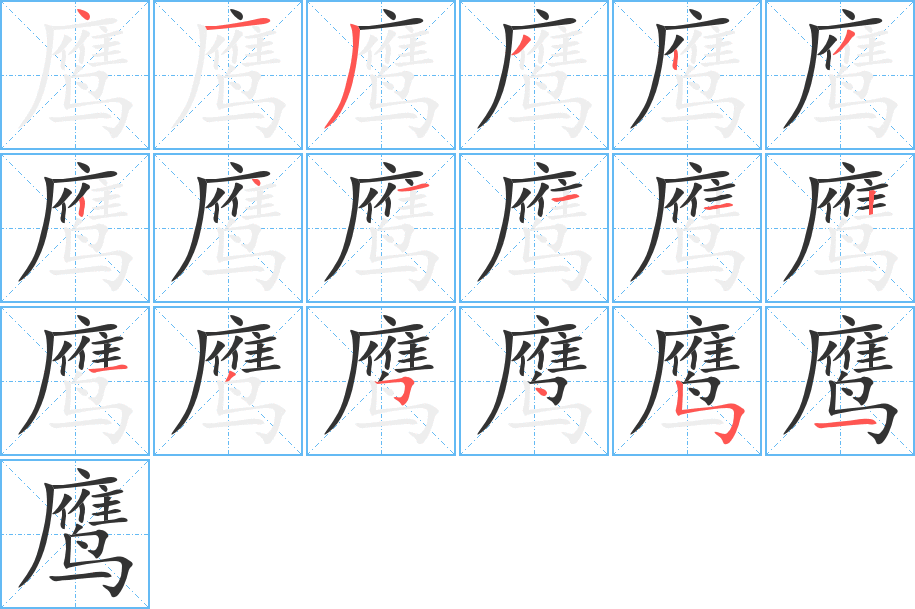 鹰字笔顺分步演示