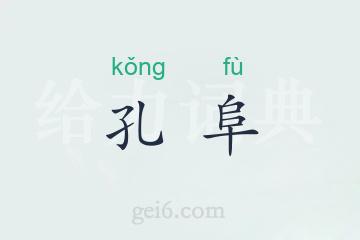 孔阜