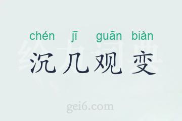 沉几观变