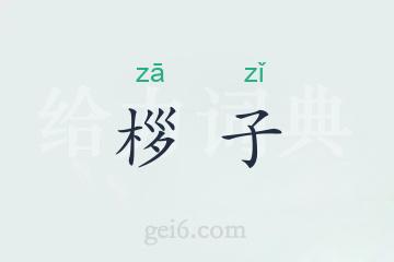 桚子