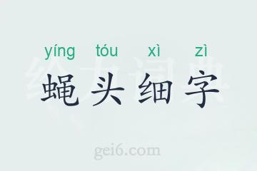 蝇头细字