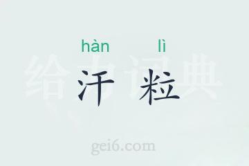 汗粒