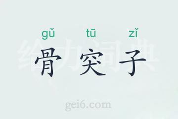 骨突子