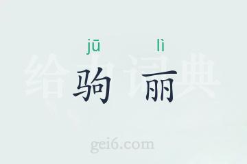 驹丽