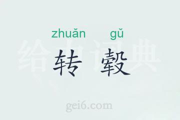 转毂
