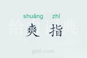 爽指