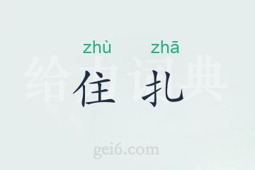 住扎