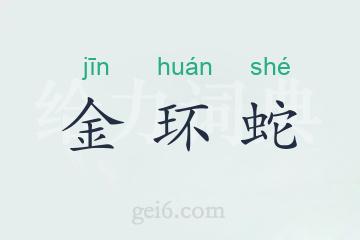 金环蛇