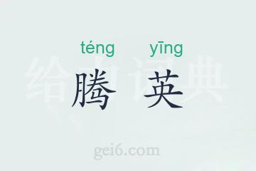 腾英