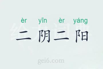 二阴二阳