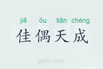 佳偶天成