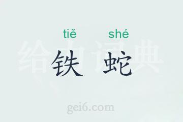 铁蛇
