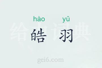 皓羽