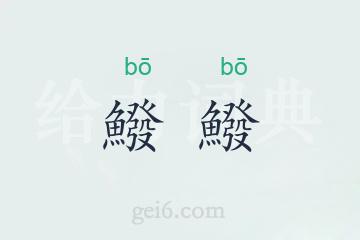 鱍鱍