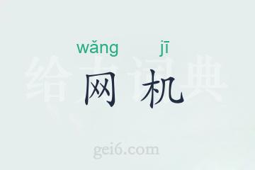 网机