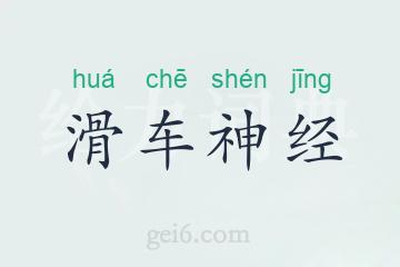 滑车神经