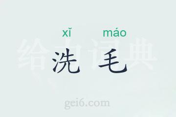 洗毛