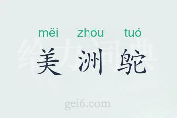 美洲鸵