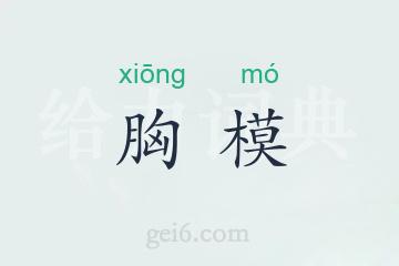 胸模