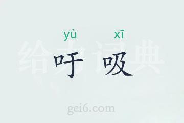 吁吸