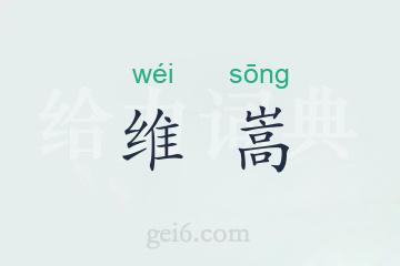 维嵩