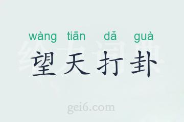 望天打卦