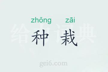 种栽