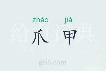 爪甲