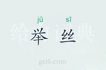 举丝