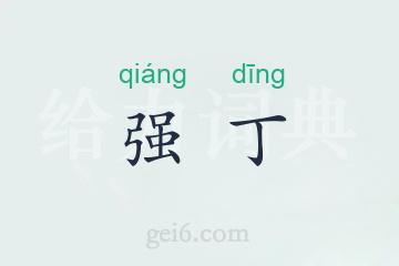 强丁