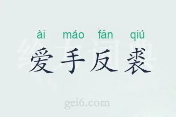 爱手反裘