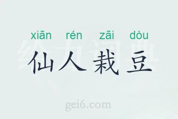 仙人栽豆