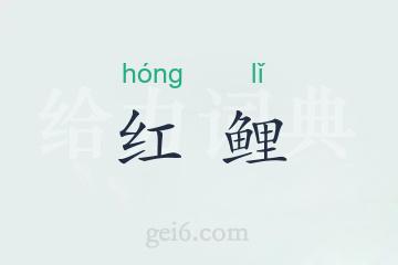 红鲤