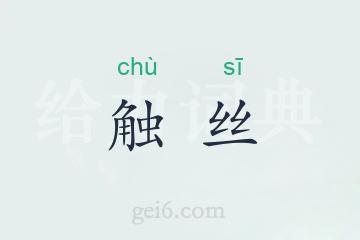 触丝