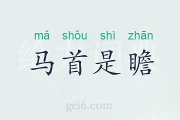 马首是瞻
