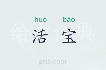 活宝