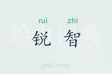锐智