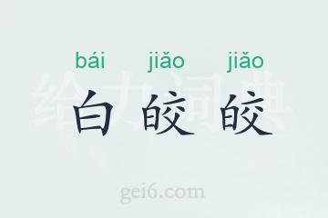 白皎皎